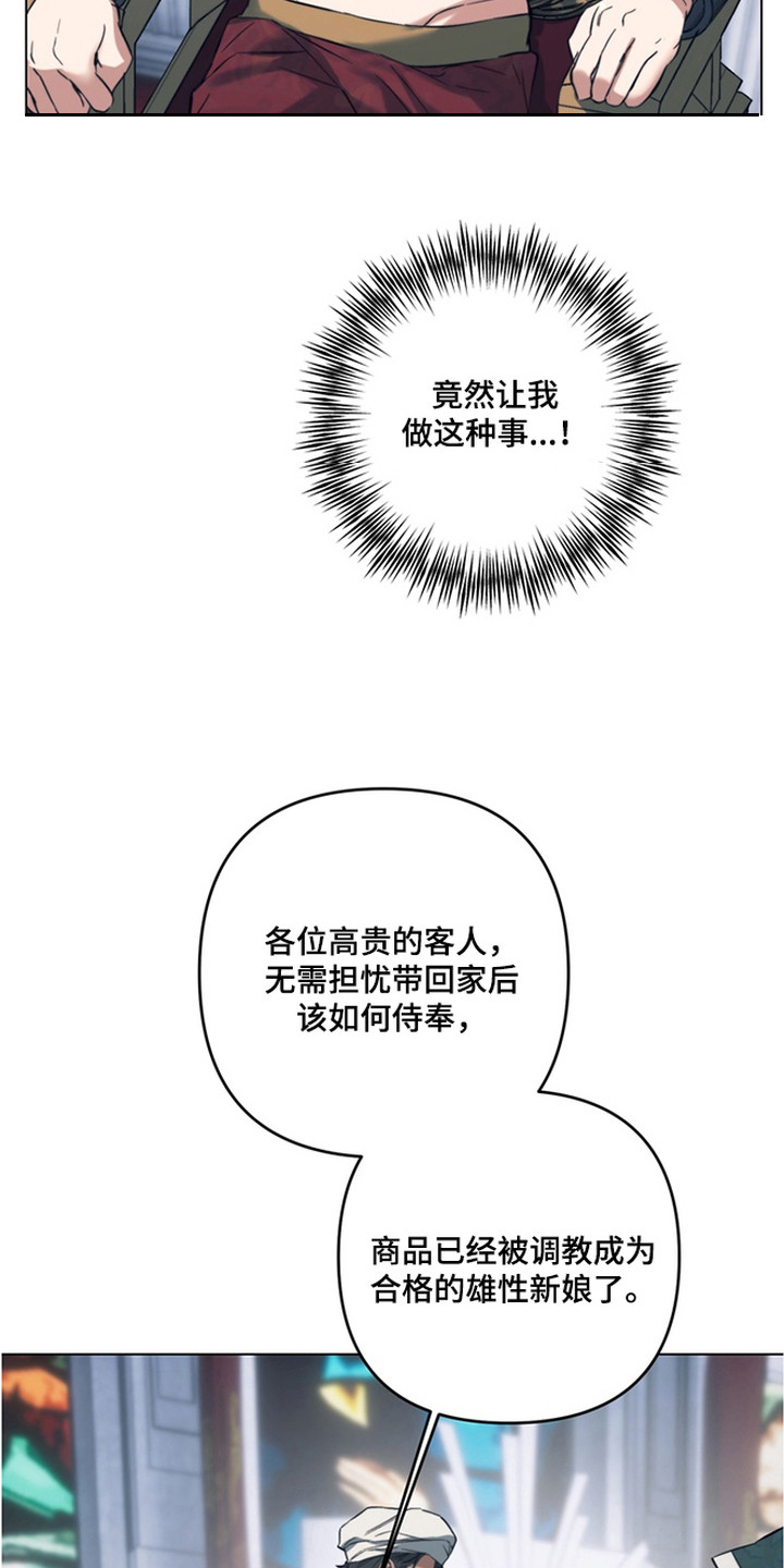 特殊开发失格皇储漫画,第6章：拍卖品3图