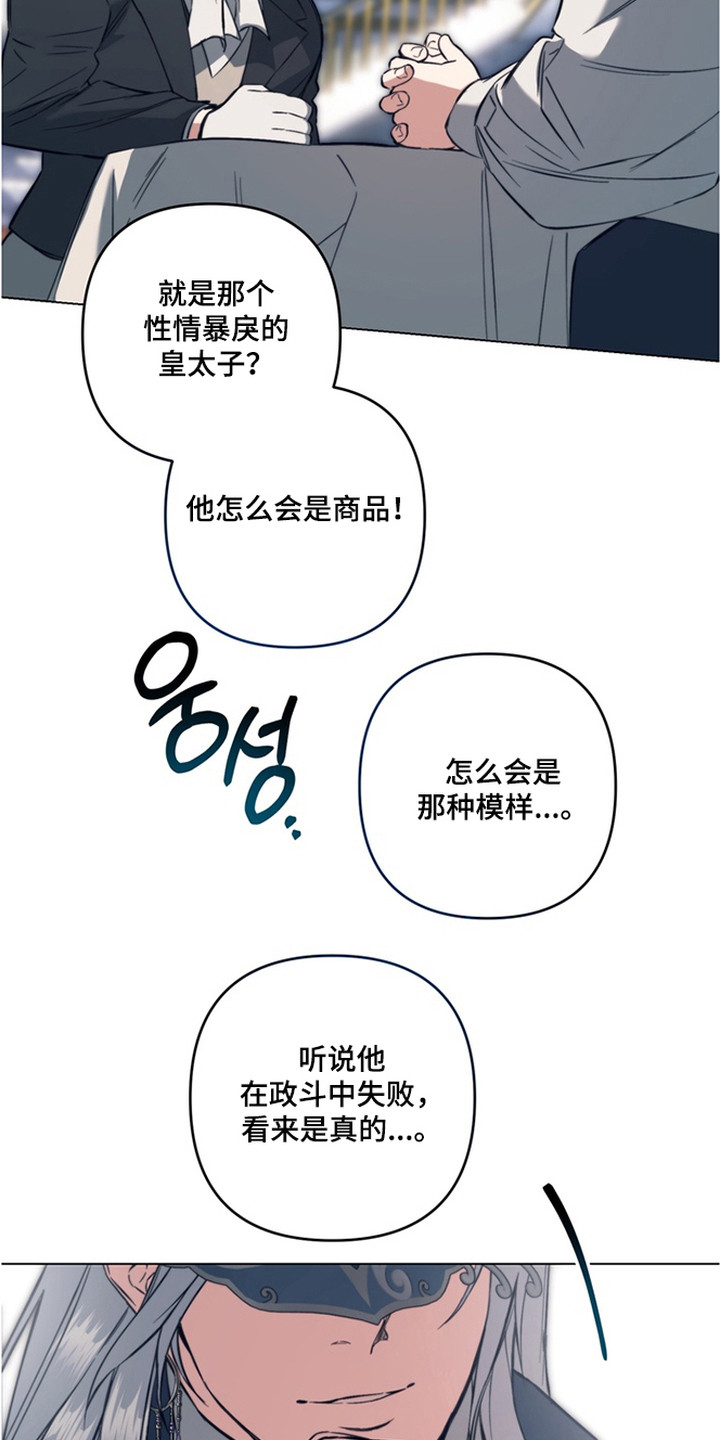 特殊开发失格皇储漫画,第6章：拍卖品5图