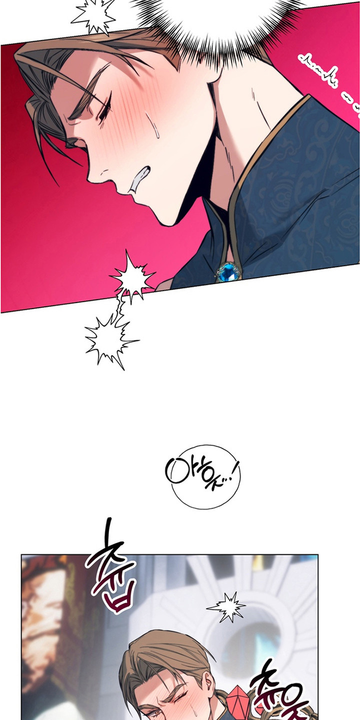 特殊开发失格皇储漫画,第6章：拍卖品2图