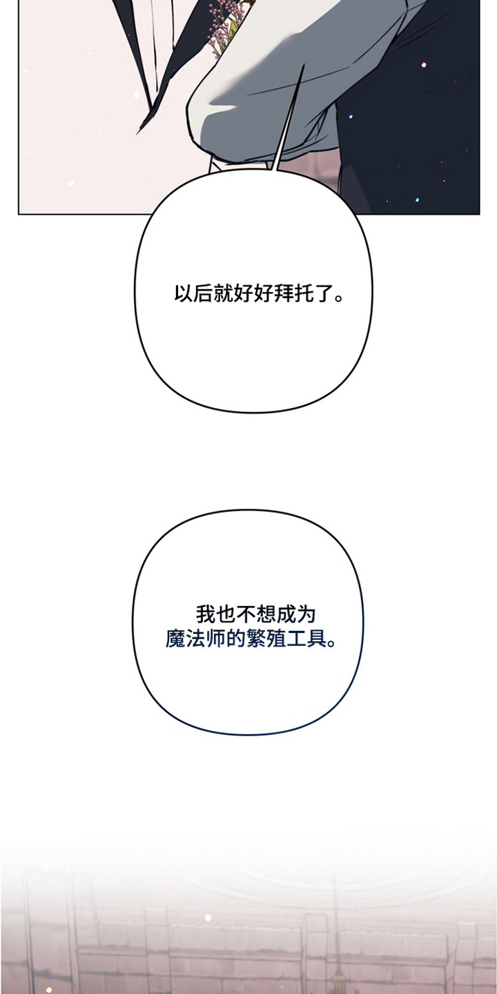 特殊开发失格皇储漫画,第21章：他们的新娘（完结）1图