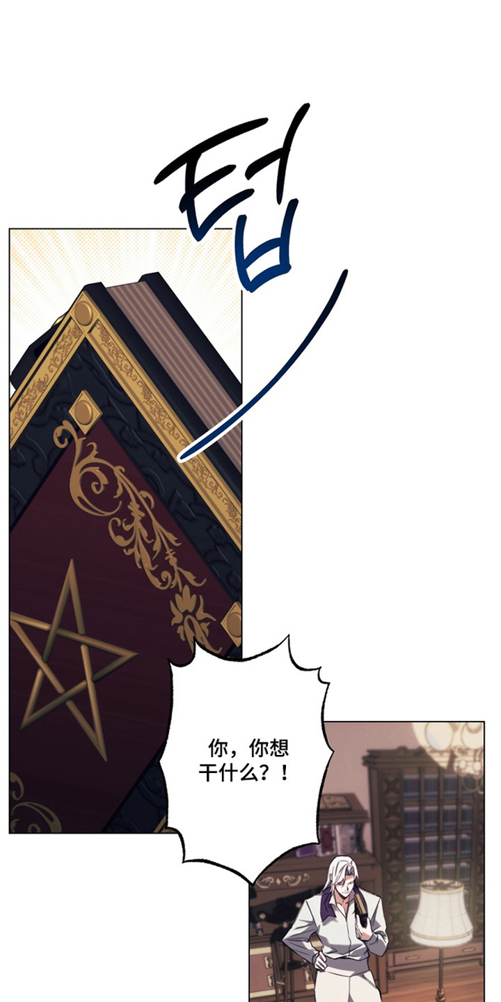 特殊开发失格皇储漫画,第8章：魔法师1图