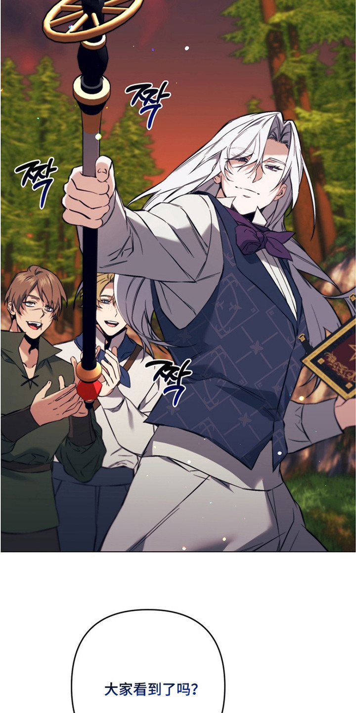 特殊开发失格皇储漫画,第8章：魔法师4图