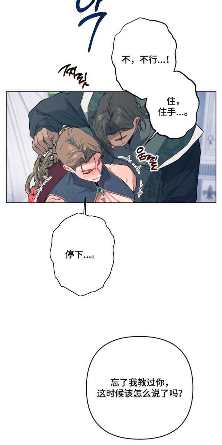 特殊开发失格皇储漫画,第7章：竞拍2图