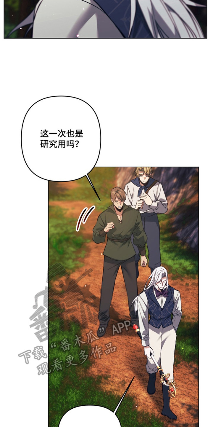 特殊开发失格皇储漫画,第8章：魔法师3图