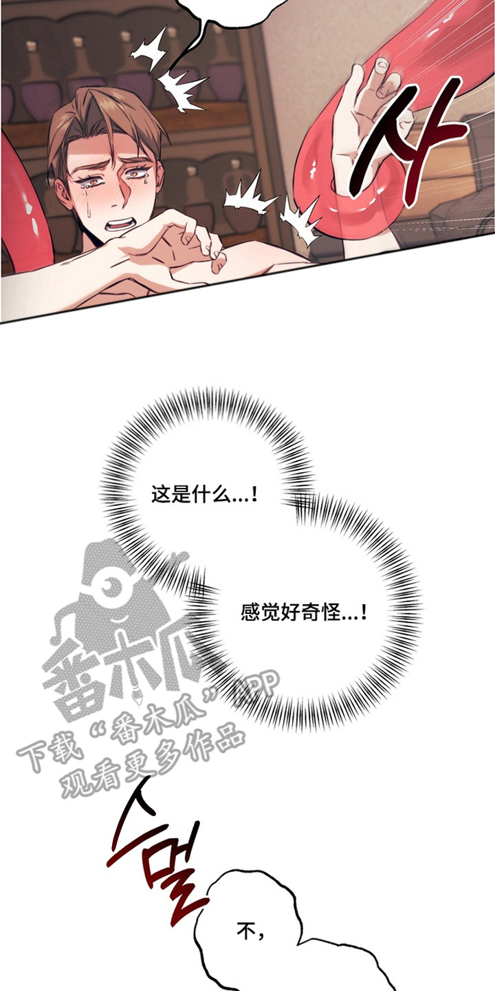 特殊开发失格皇储漫画,第8章：魔法师5图