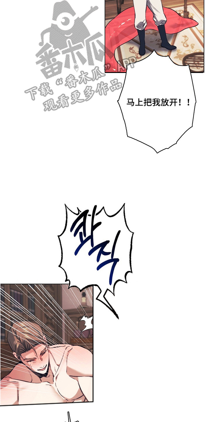 特殊开发失格皇储漫画,第8章：魔法师2图