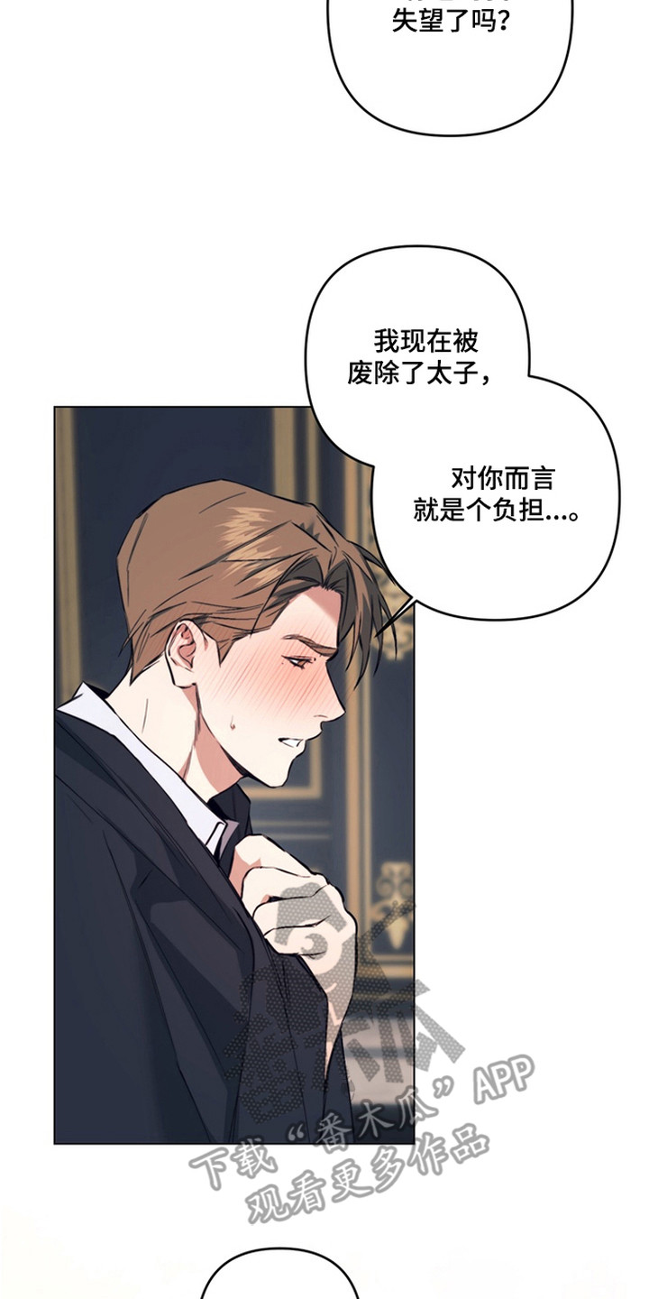 特殊开发失格皇储漫画,第14章：发誓守护2图