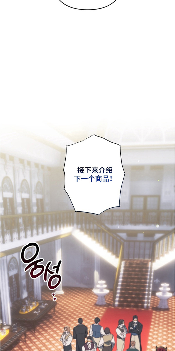 特殊开发失格皇储漫画,第6章：拍卖品5图