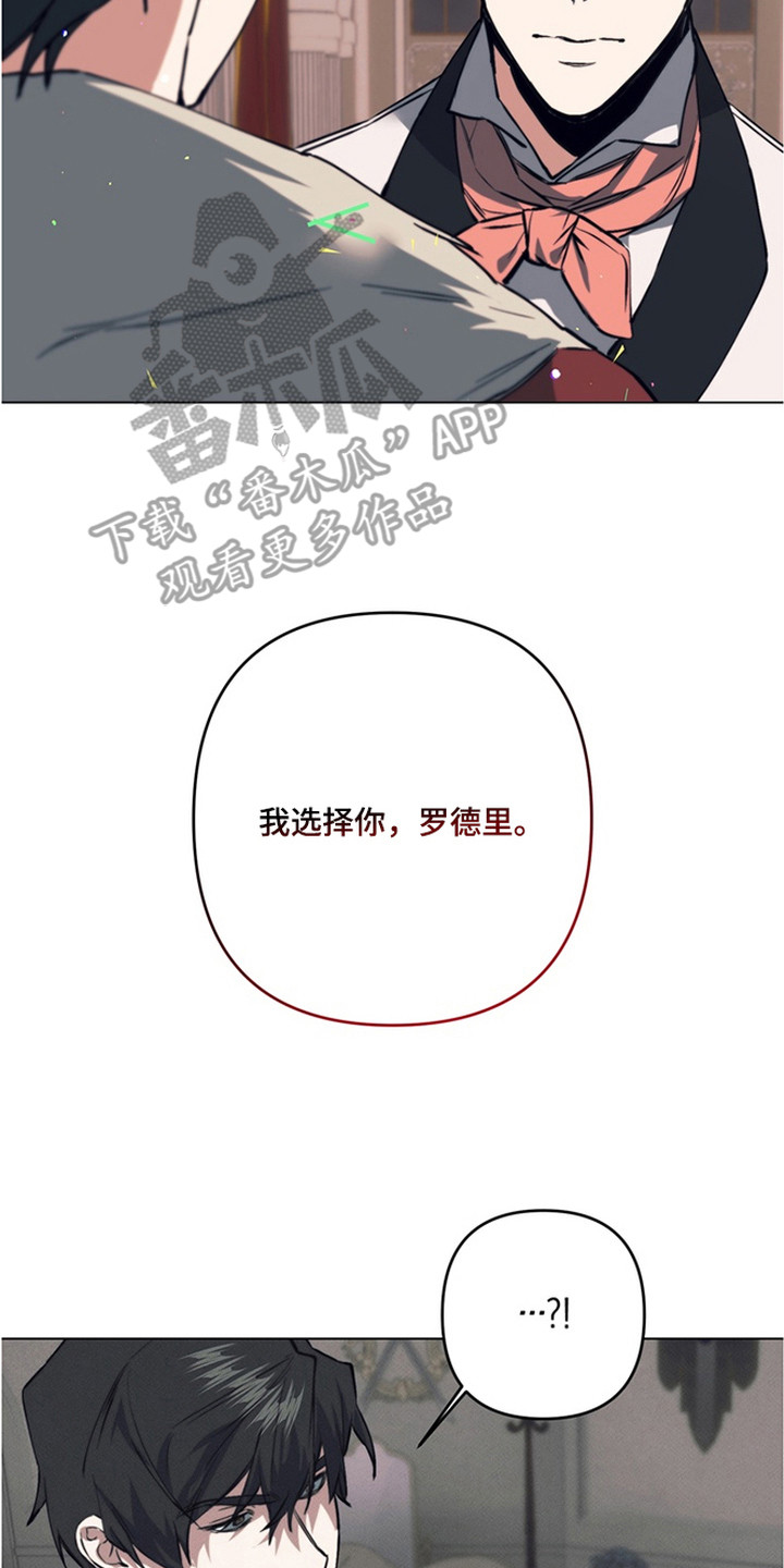 特殊开发失格皇储漫画,第21章：他们的新娘（完结）2图