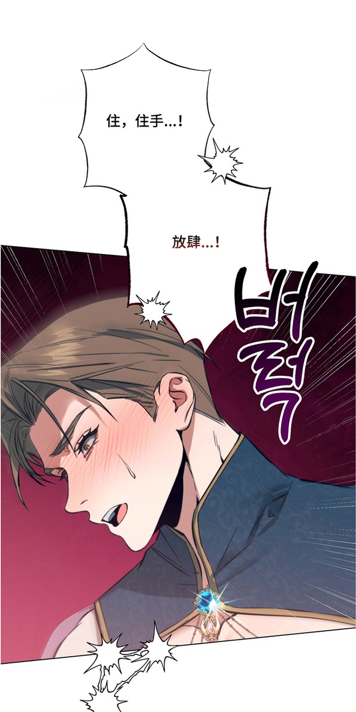 特殊开发失格皇储漫画,第6章：拍卖品4图