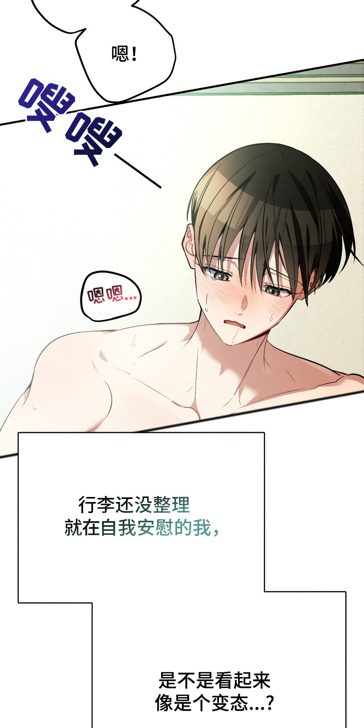 野猫的命定人类漫画书购买漫画,第1章：野猫兽人2图