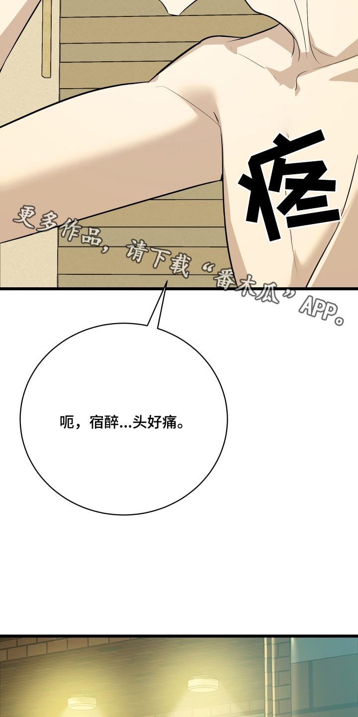 第10章：精心打扮4