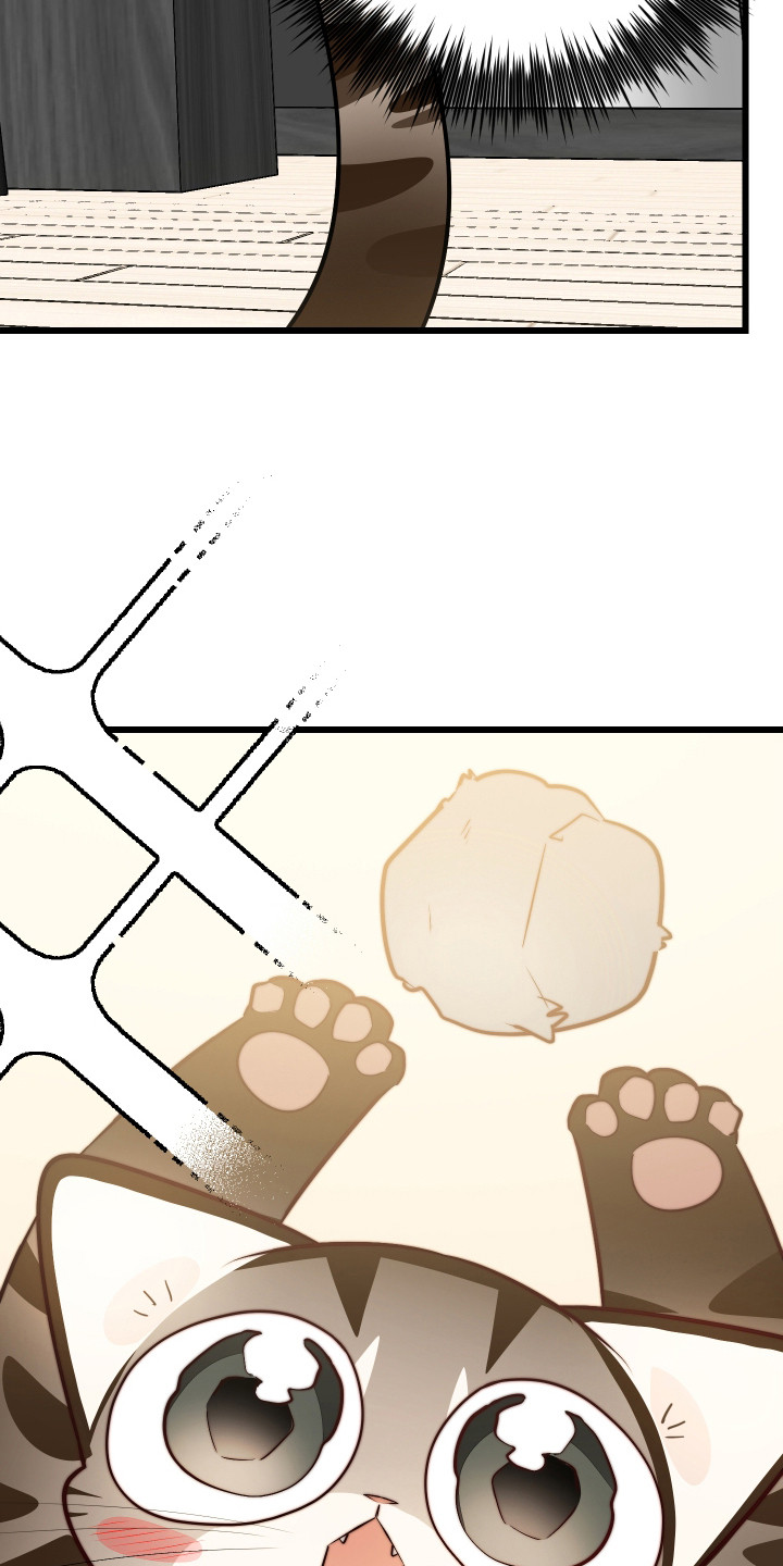 第9章：逃跑1