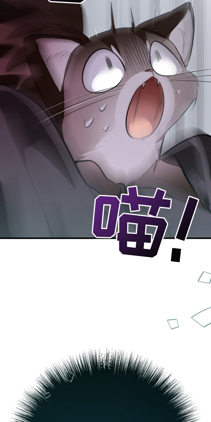 野猫的命定人类漫画,第3章：挑选目标1图