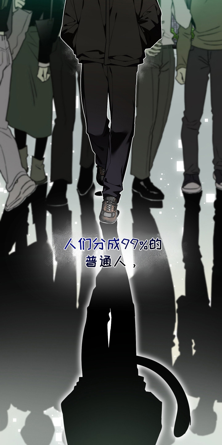 野猫的命定人类漫画书购买漫画,第1章：野猫兽人3图