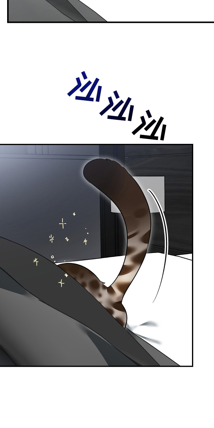 野猫的命定人类漫画,第3章：挑选目标3图