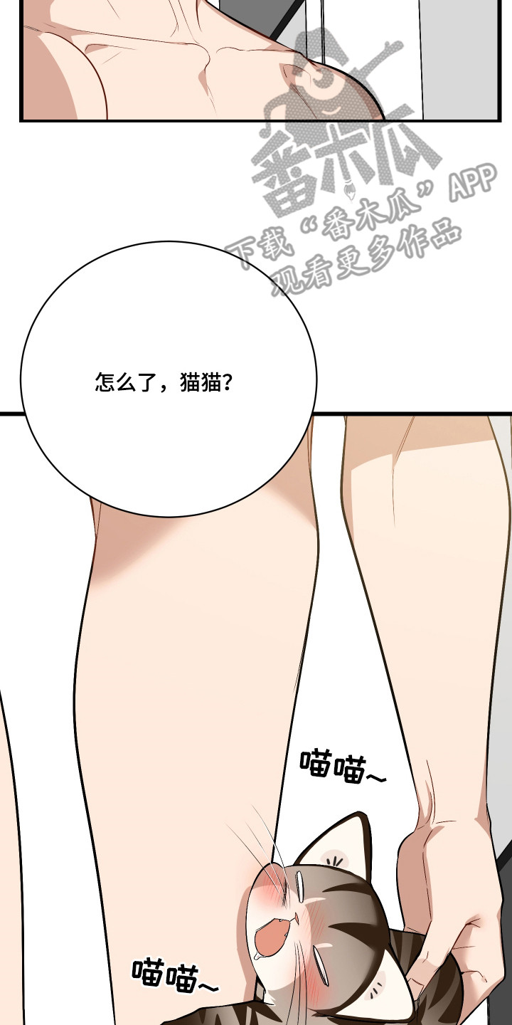 第8章：捡回家2
