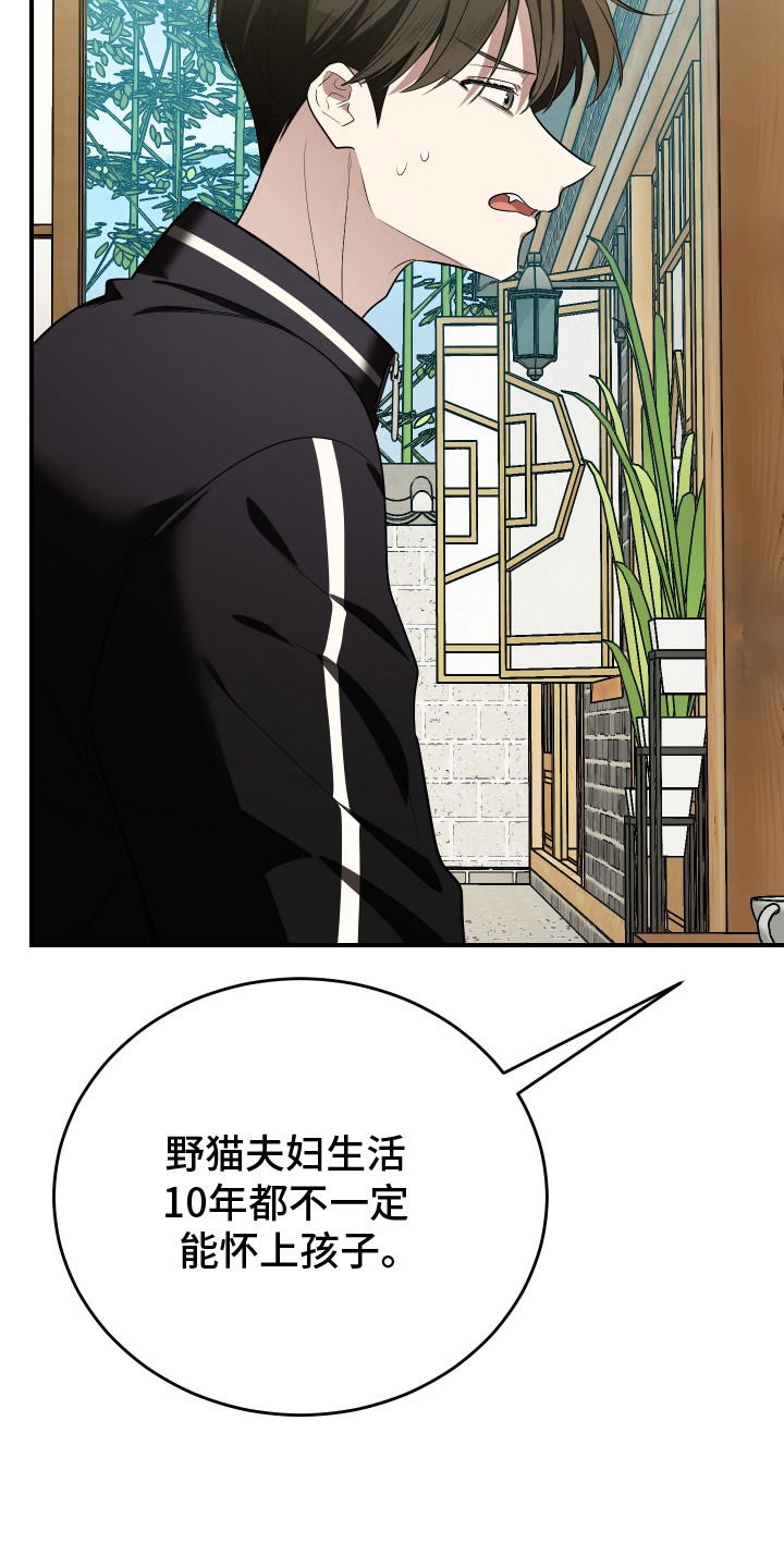 野猫的命定人类小说剧情漫画,第2章：秘密任务5图