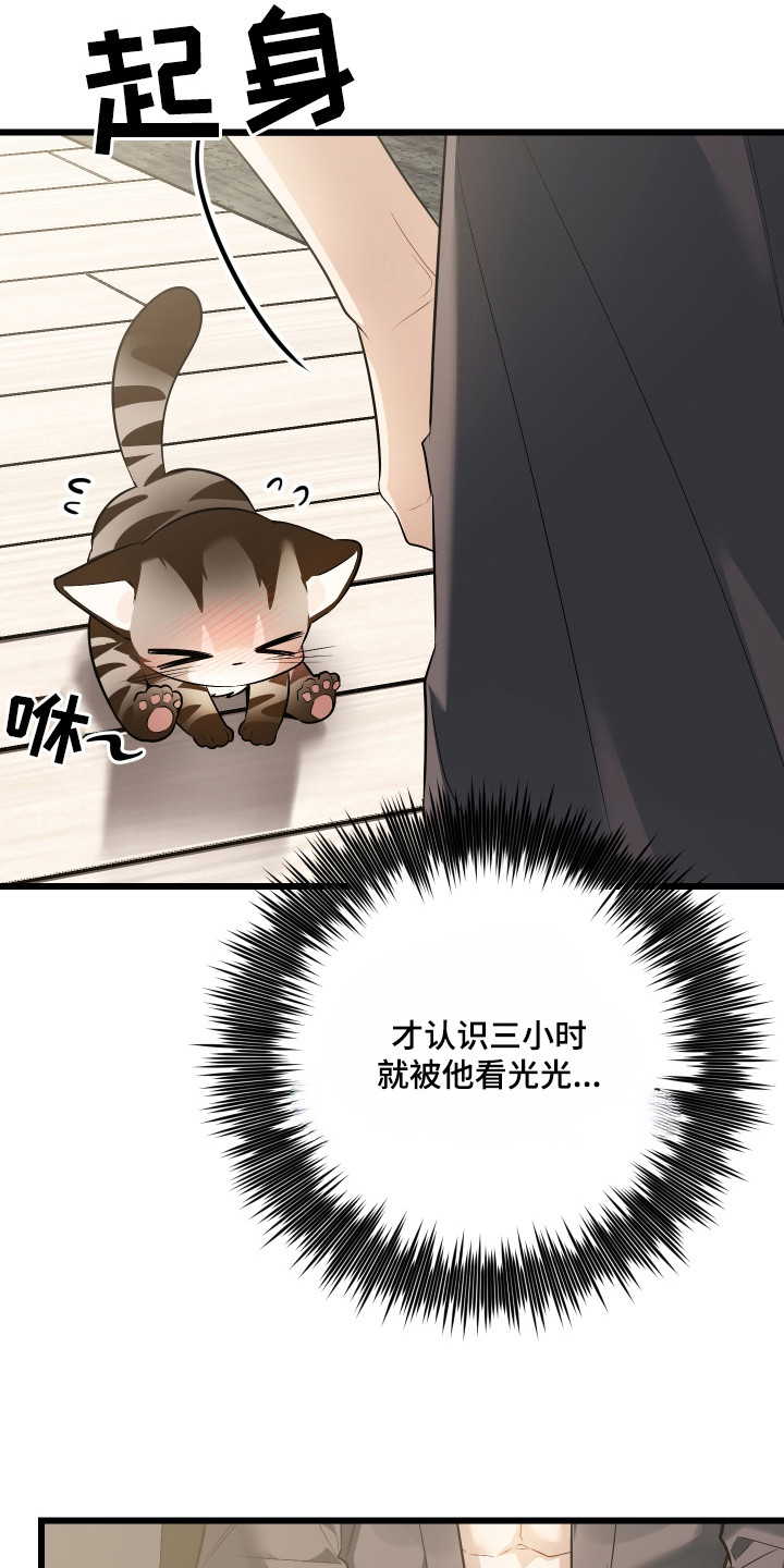 第8章：捡回家1