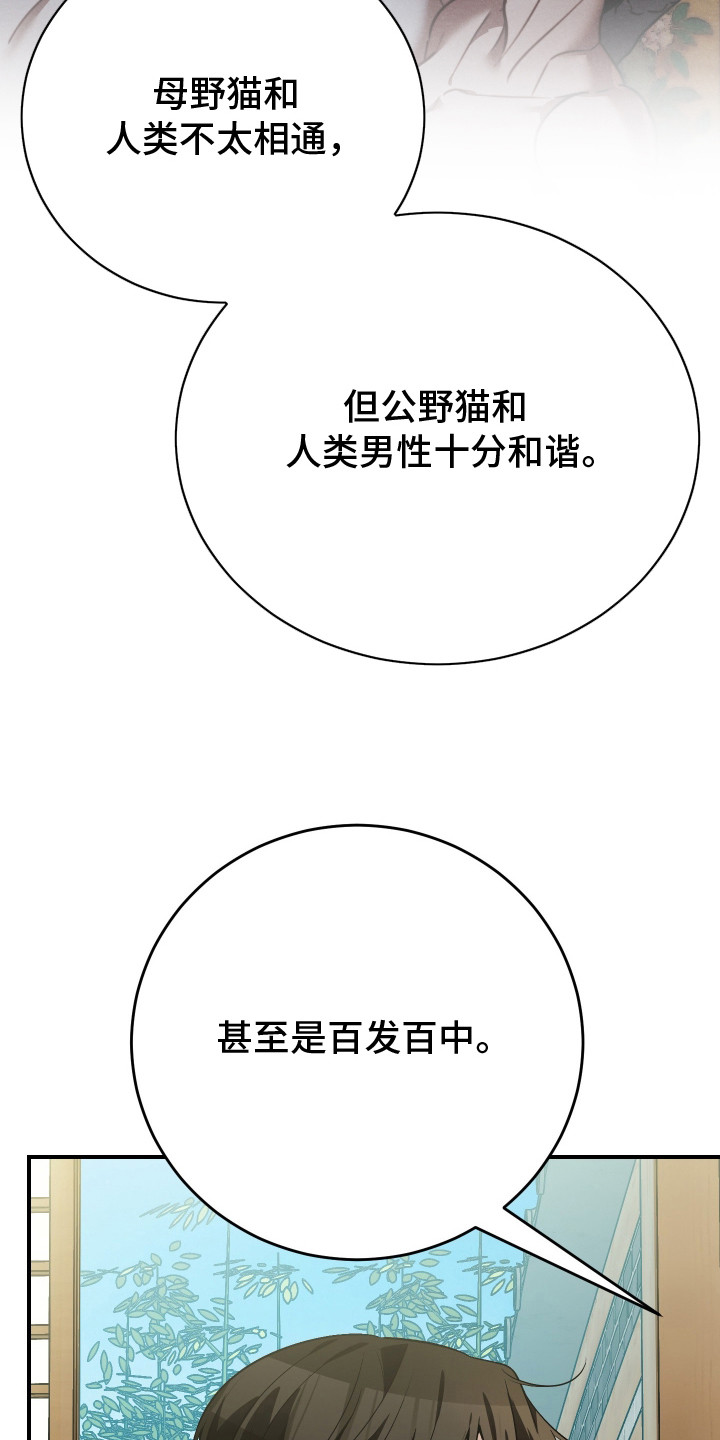 野猫的命定人类小说剧情漫画,第2章：秘密任务4图