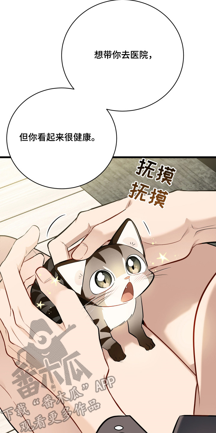 第8章：捡回家3