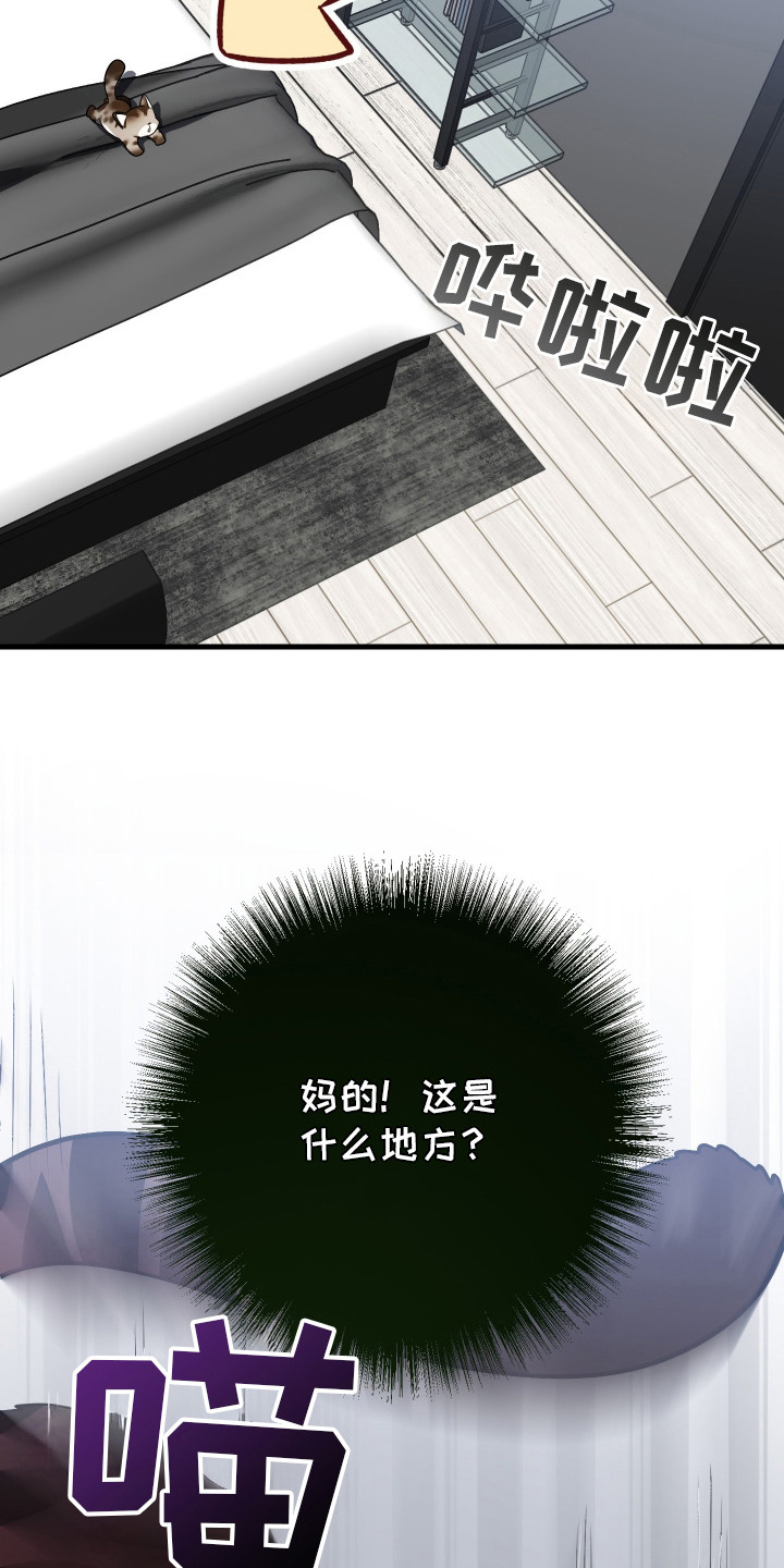 野猫的命定人类漫画,第3章：挑选目标5图