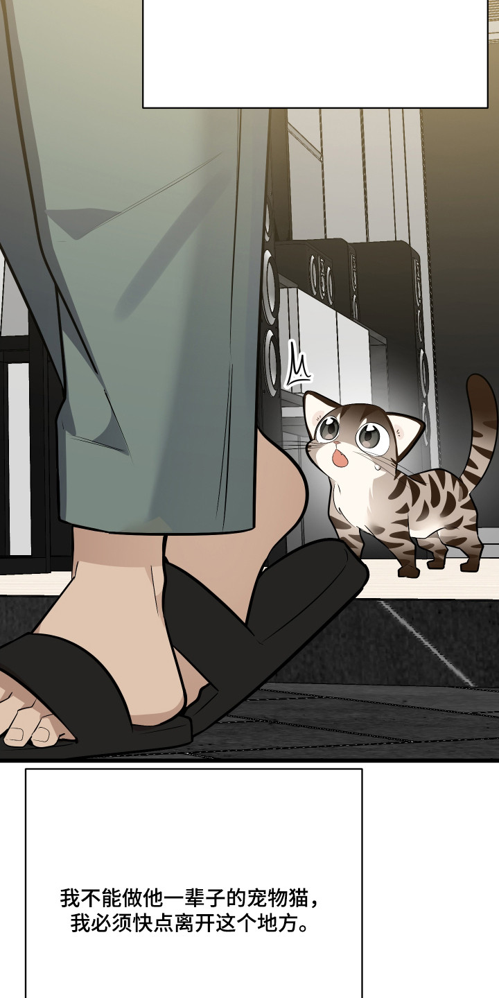 第9章：逃跑0
