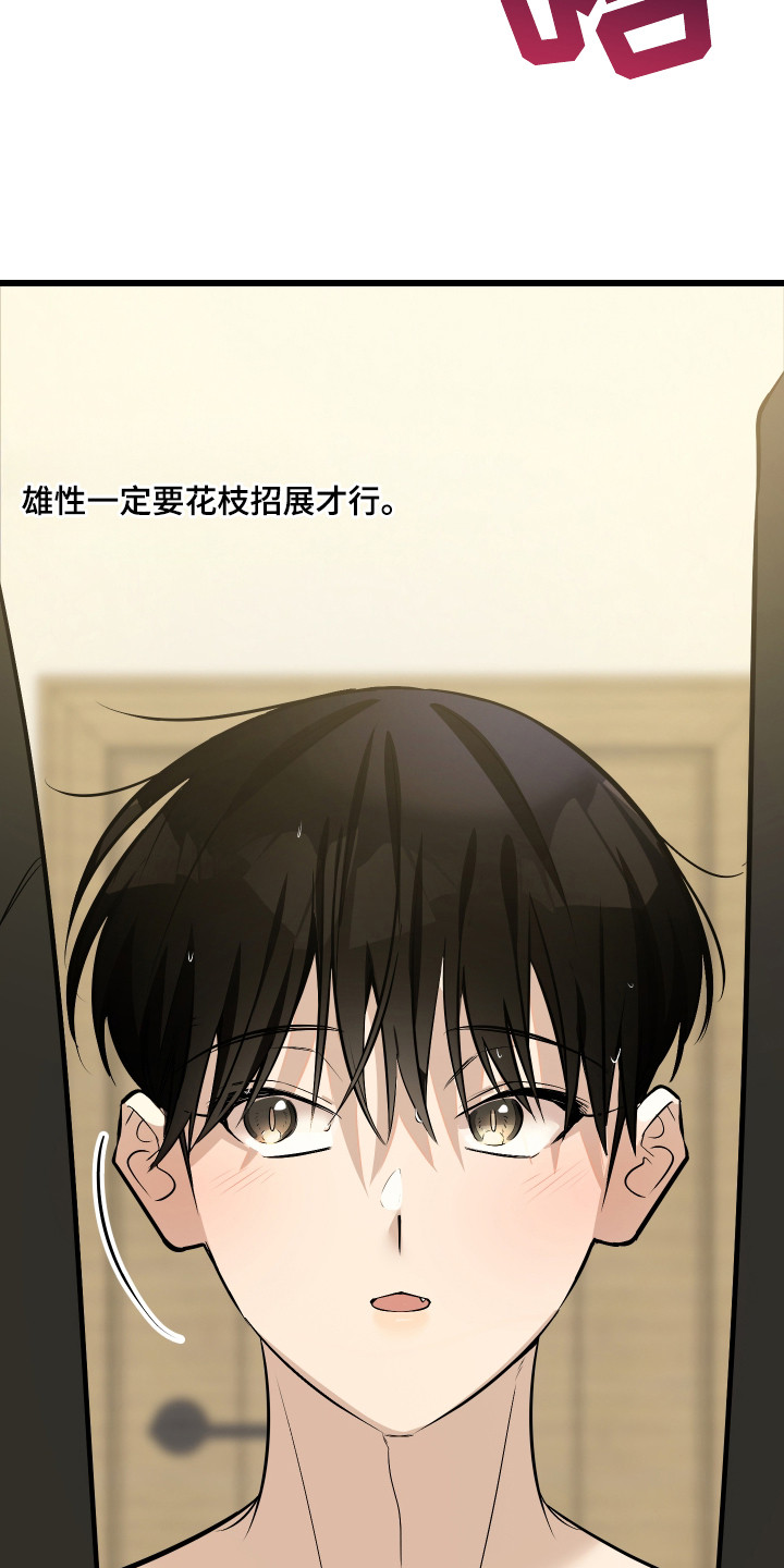 第10章：精心打扮1