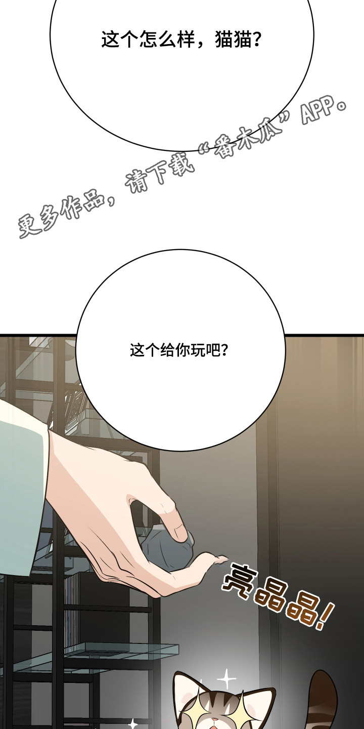 第9章：逃跑4