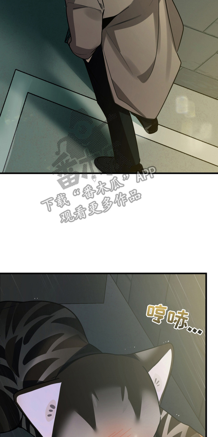 第8章：捡回家1