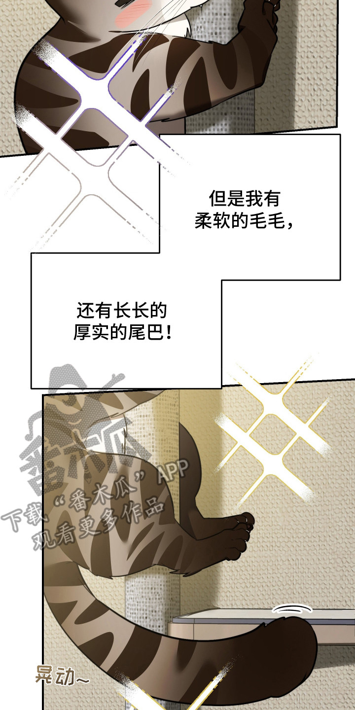 野猫的命定人类漫画大结局漫画,第1章：野猫兽人5图
