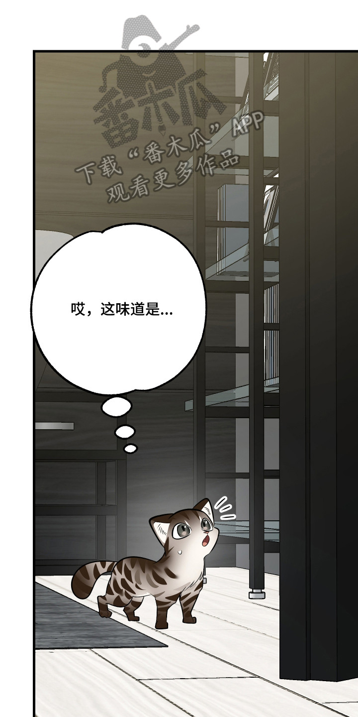 第4章：闯祸了3