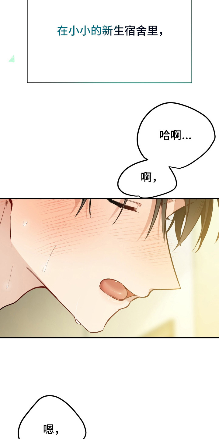 野猫的命定人类漫画书购买漫画,第1章：野猫兽人1图