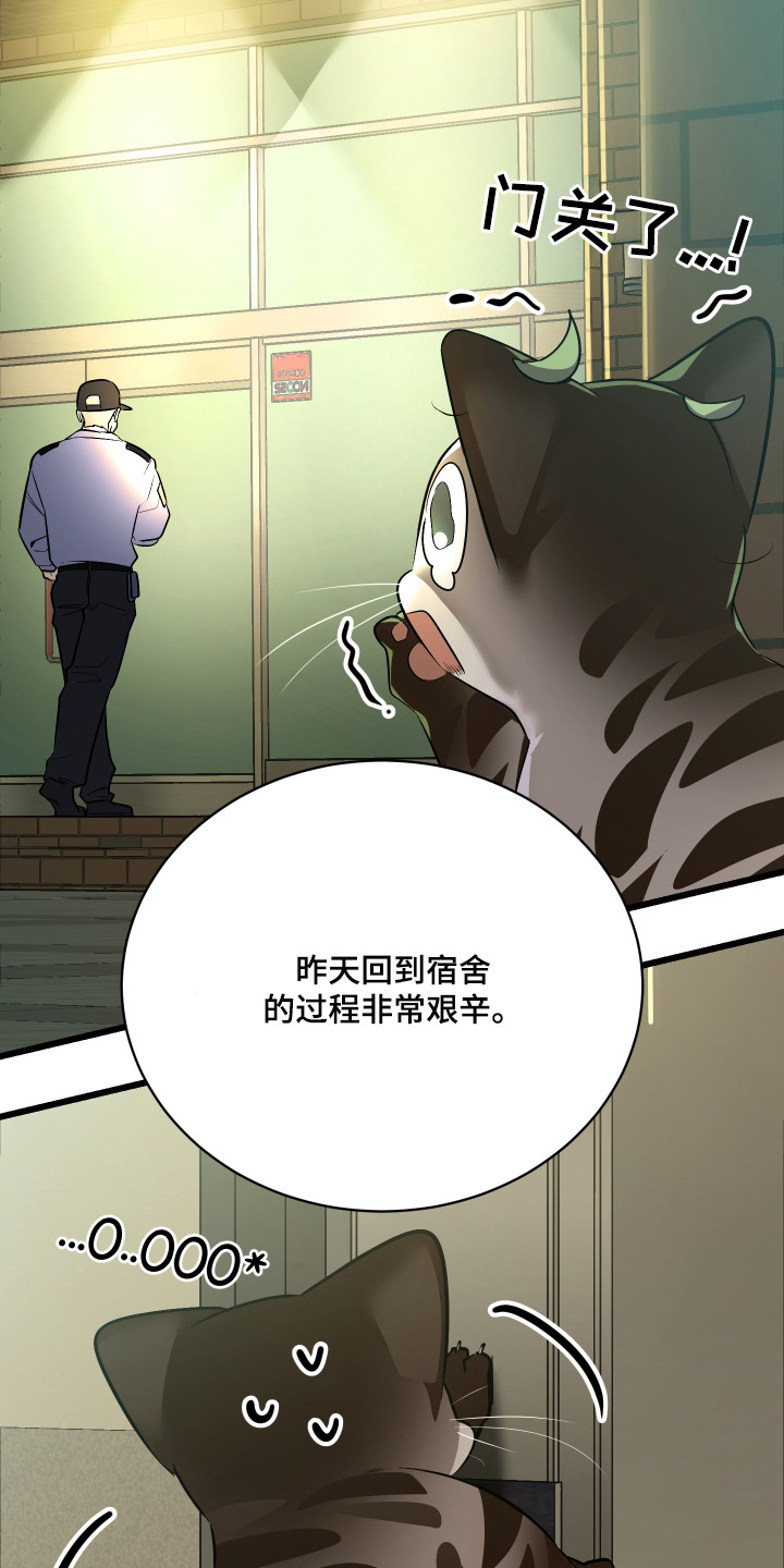 第10章：精心打扮0