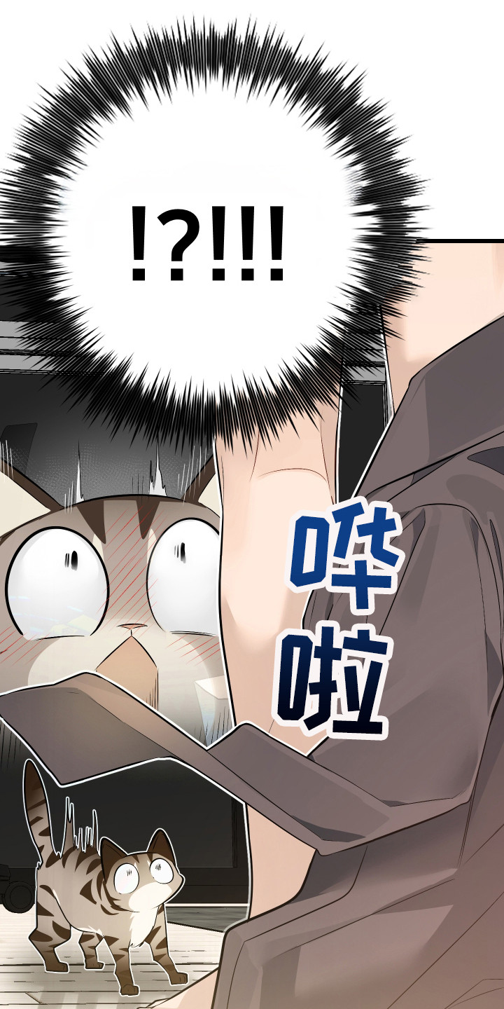 第8章：捡回家3