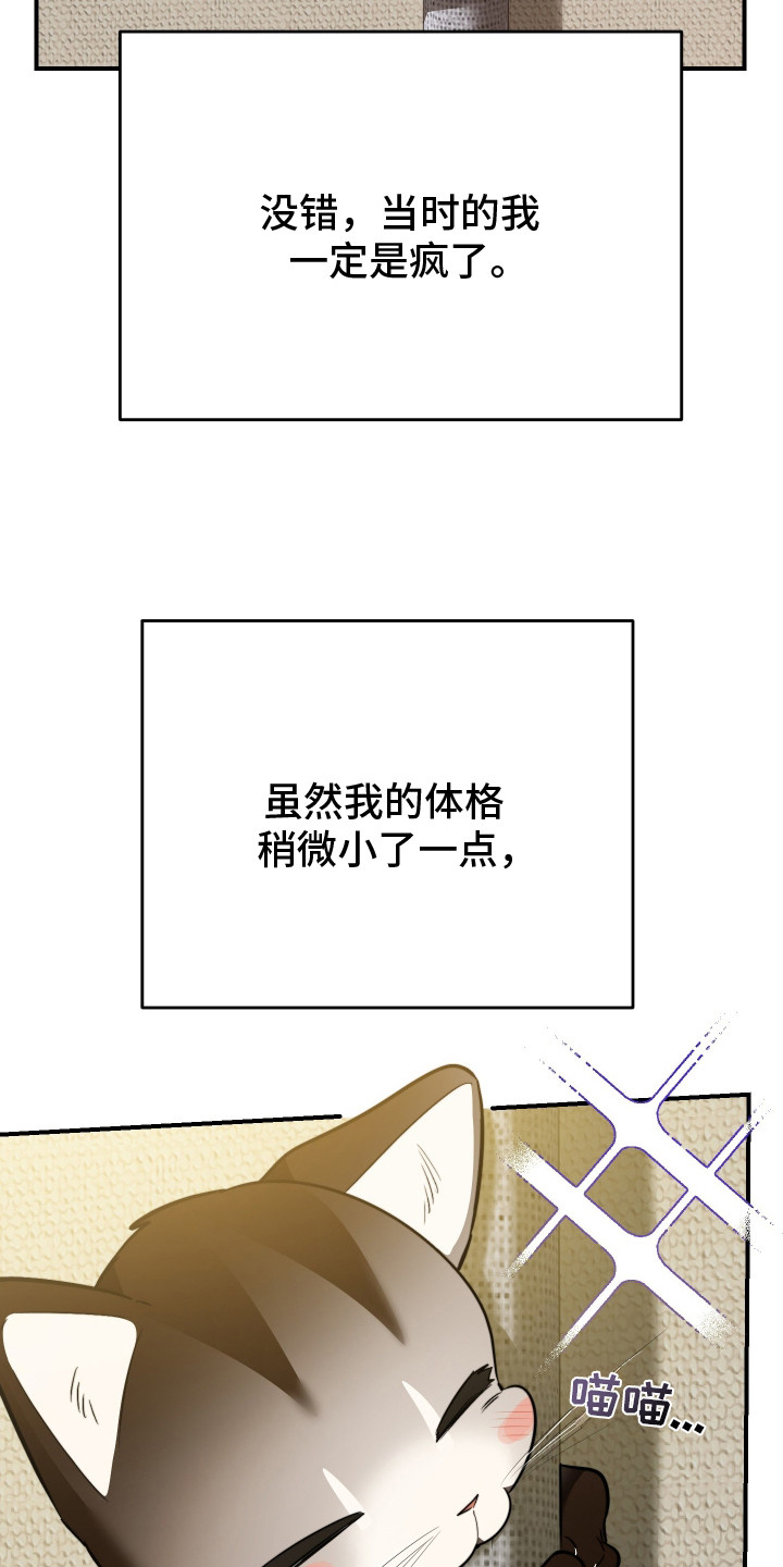 野猫的命定人类漫画大结局漫画,第1章：野猫兽人4图