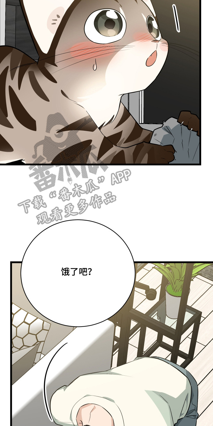 第9章：逃跑1