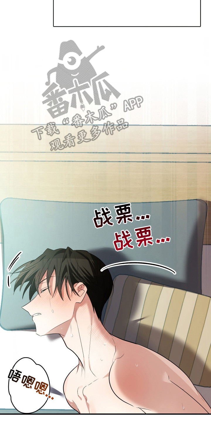 野猫的命定人类漫画书购买漫画,第1章：野猫兽人3图