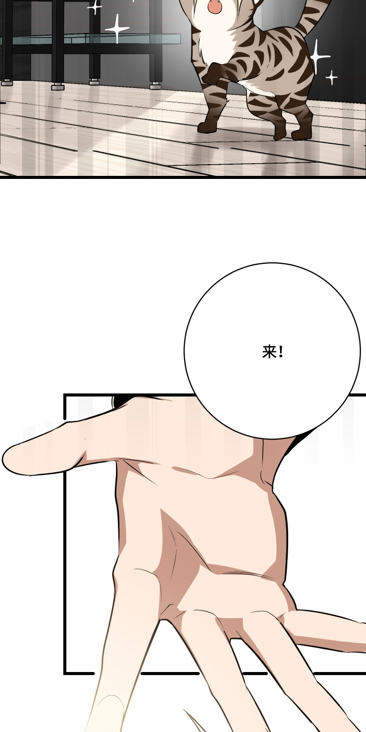 第9章：逃跑0