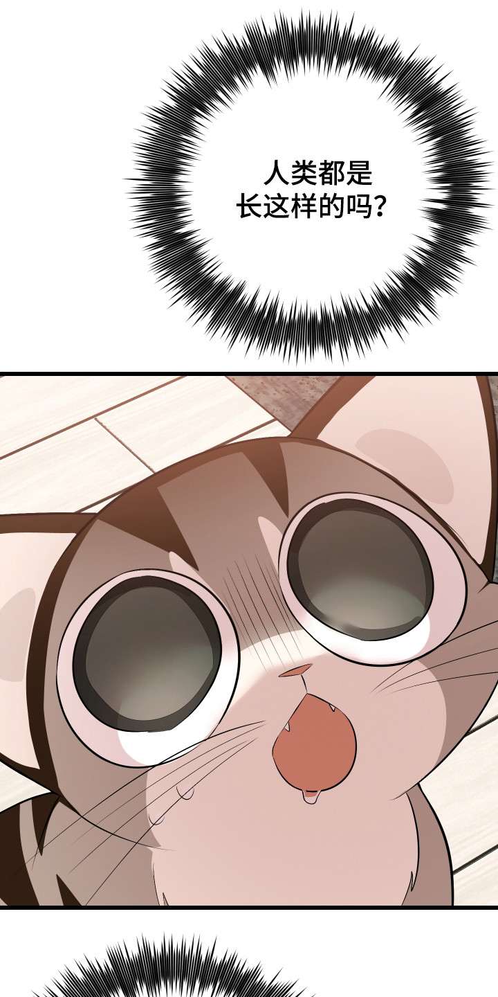 第8章：捡回家0