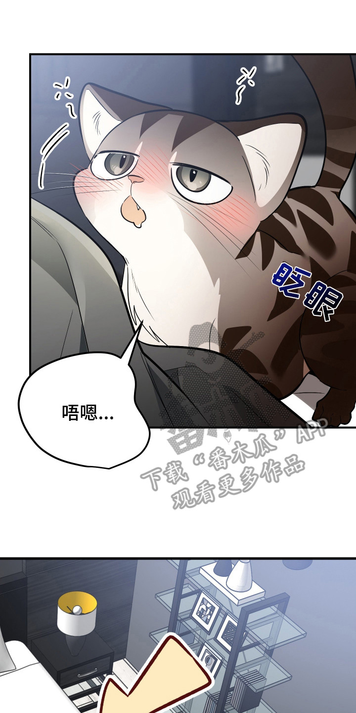 野猫的命定人类漫画,第3章：挑选目标4图