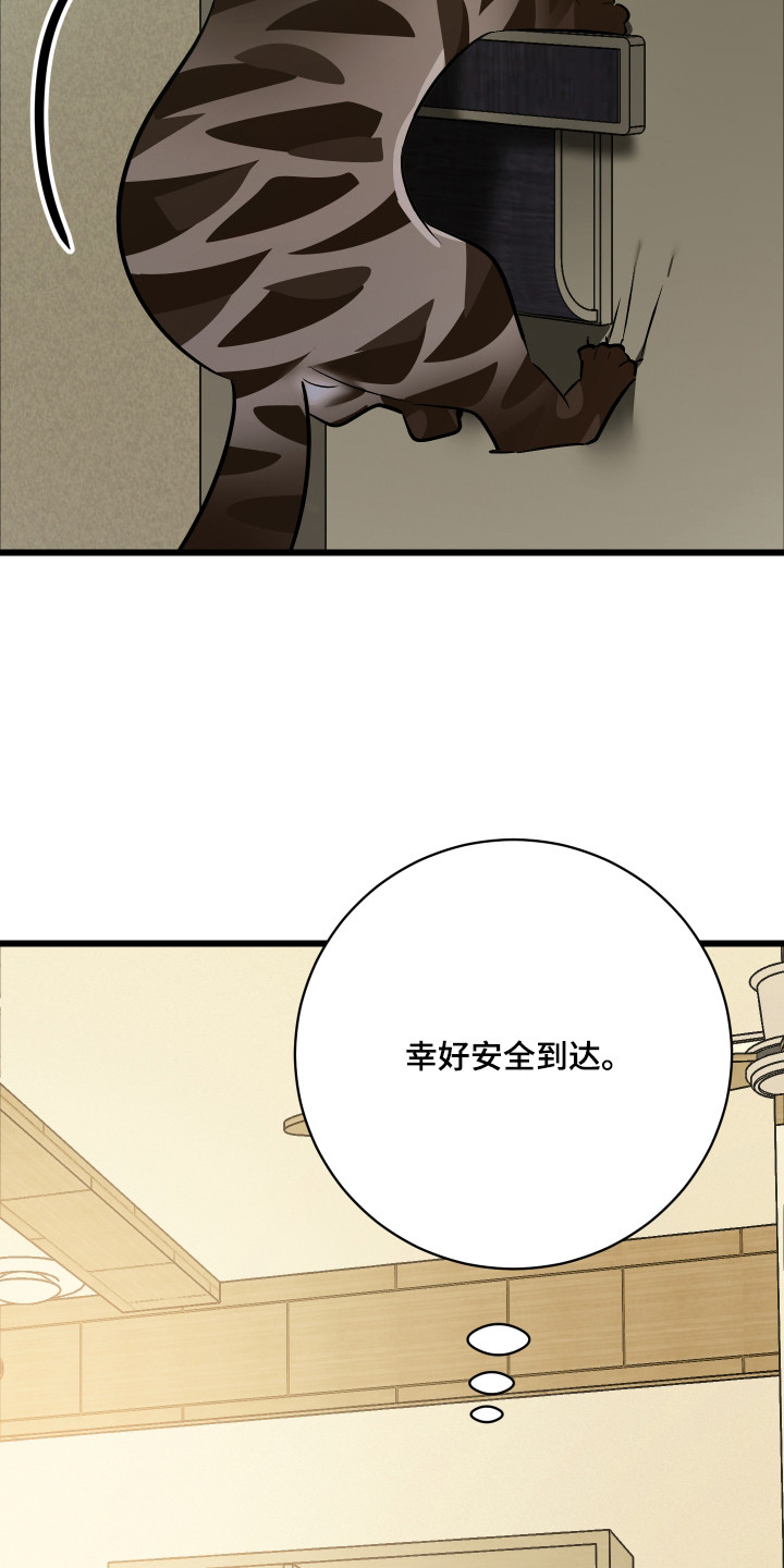 第10章：精心打扮1