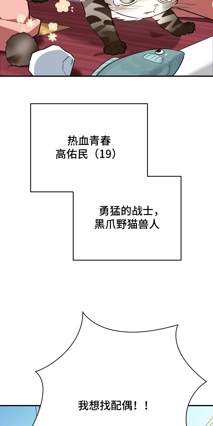 野猫的命定人类漫画书购买漫画,第1章：野猫兽人4图