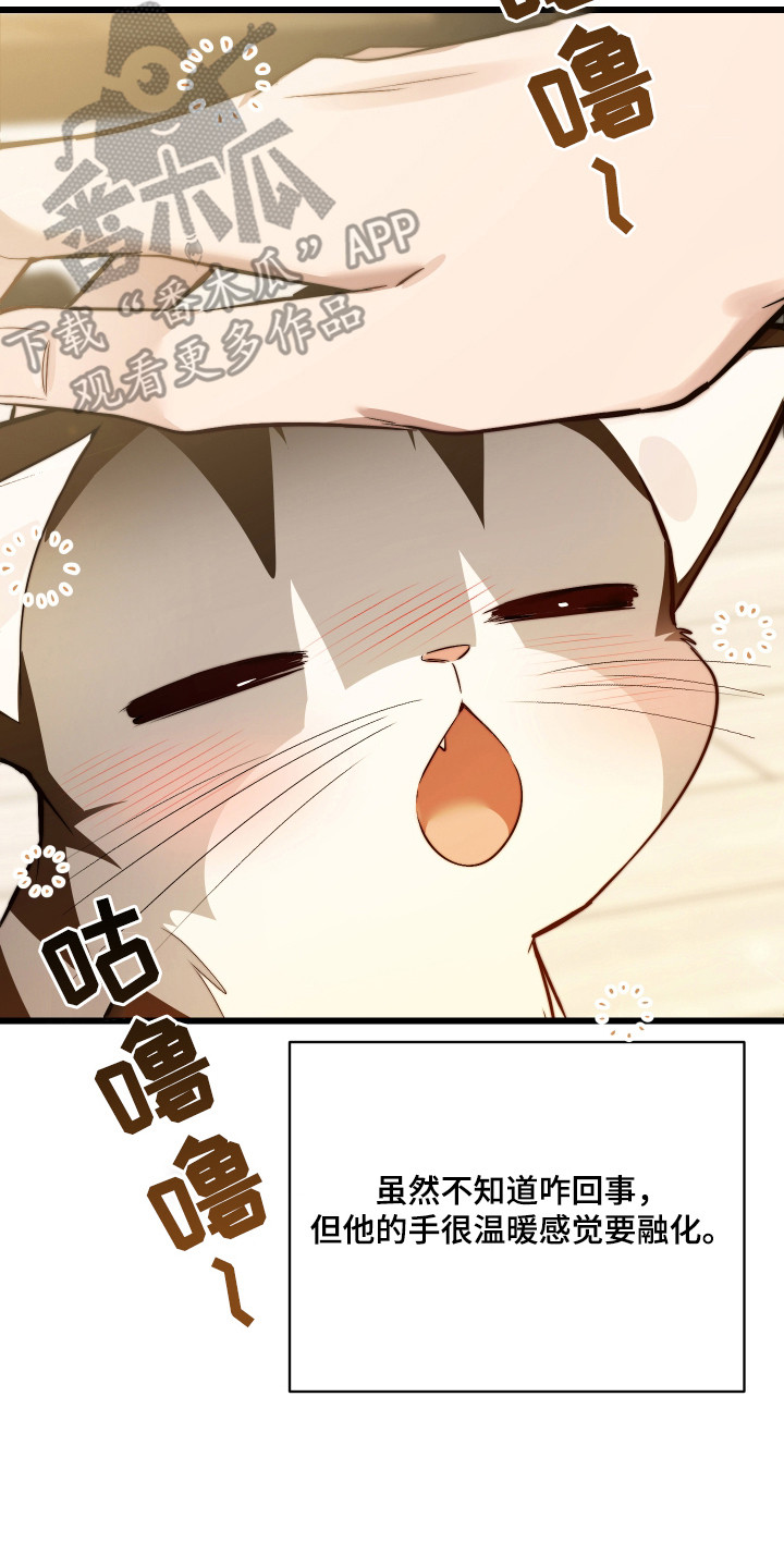 第8章：捡回家1