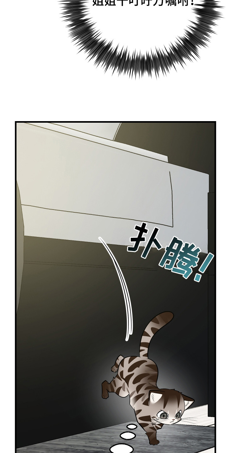 第4章：闯祸了1