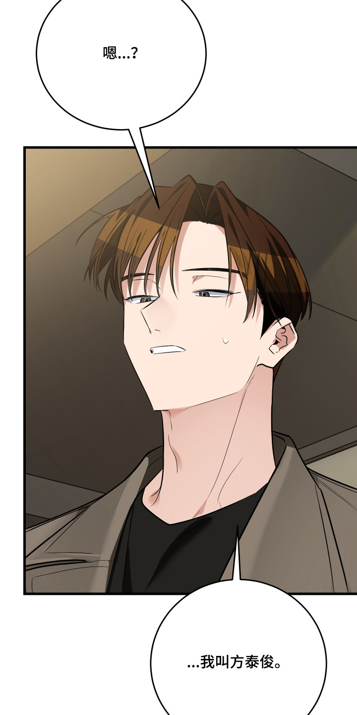 野猫的命定人类漫画,第5章：一见钟情1图