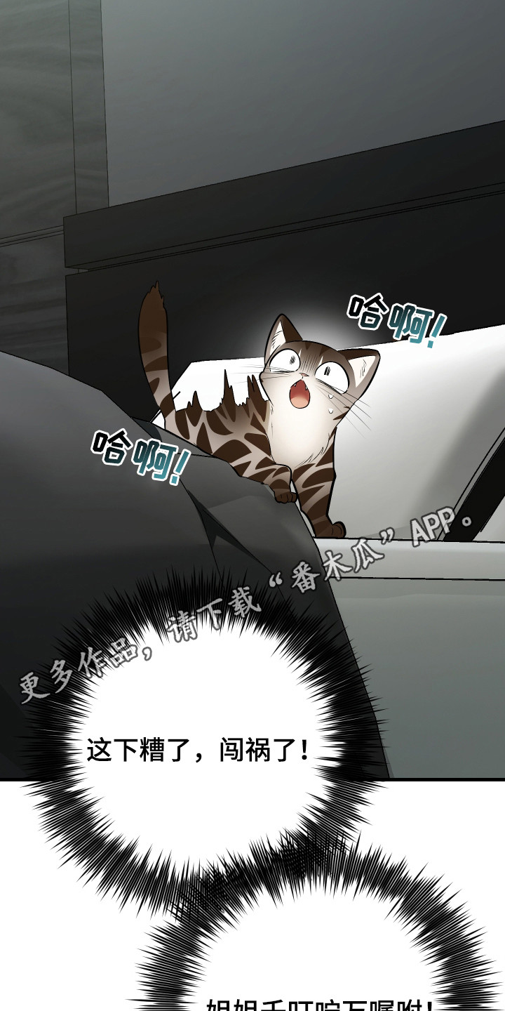 第4章：闯祸了0
