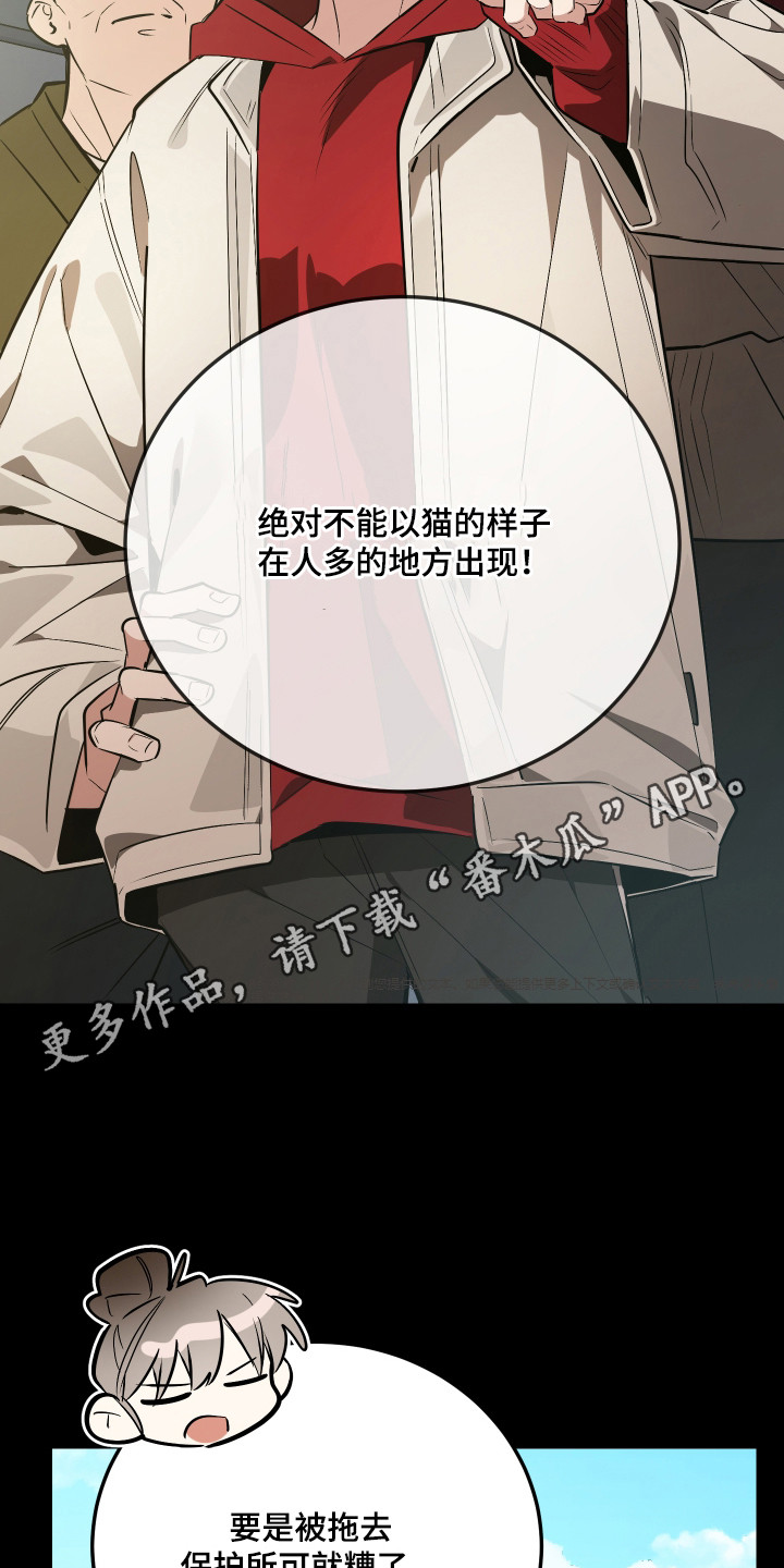 第4章：闯祸了4