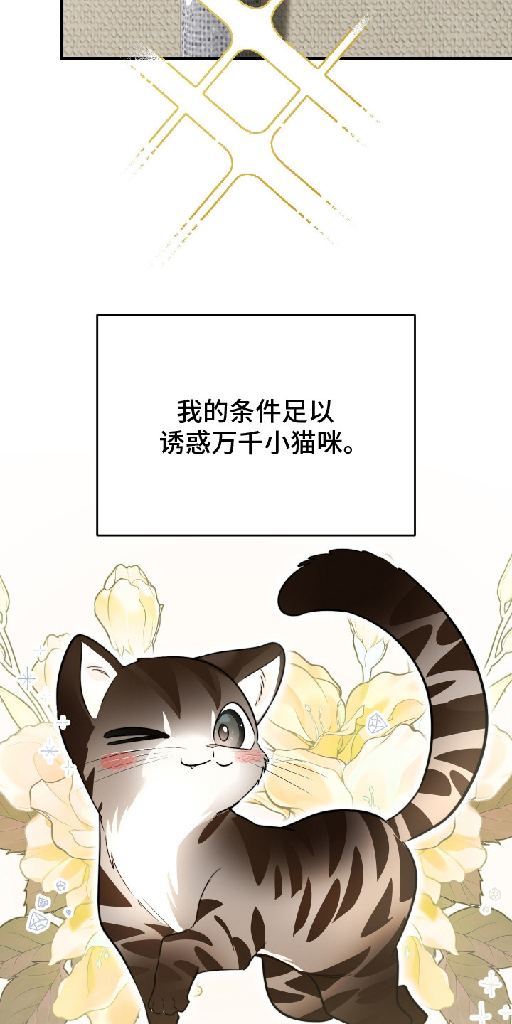 野猫的命定人类漫画书购买漫画,第1章：野猫兽人1图