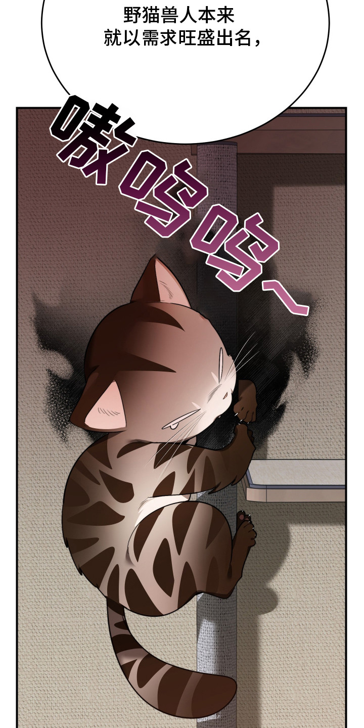 野猫的命定人类漫画大结局漫画,第1章：野猫兽人3图